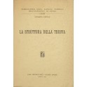 La struttura della truffa