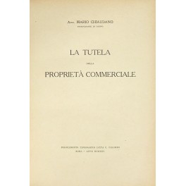 La tutela della proprietà commerciale