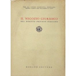 Il negozio giuridico nel diritto privato italiano