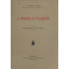 Il processo di fallimento. Programma di un corso