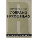 L'orfano piccolissimo. Tra il romanzo e la favola