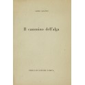 Il cammino dell'alga