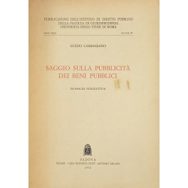 Saggio sulla pubblicità dei beni pubblici. Un'analisi introduttiva