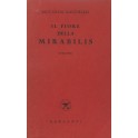 Il fiore della mirabilis