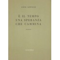 E' il tempo una speranza che cammina. Poesie