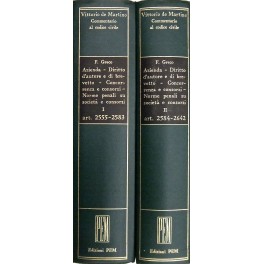 Azienda. Diritto d'autore e di brevetto. Concorrenza e consorzi. Norme penali su società e consorzi. 