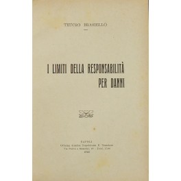 I limiti della responsabilità per danni