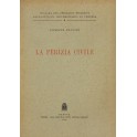 La perizia civile