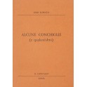 Alcune conchiglie (e qualcos'altro)