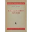 Manuale di diritto consolare