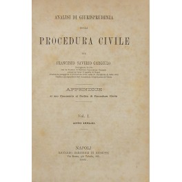 Analisi di giurisprudenza della procedura civile