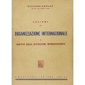 Lezioni di organizzazione internazionale. Vol. I -