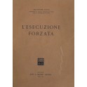 L'esecuzione forzata