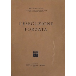 L'esecuzione forzata