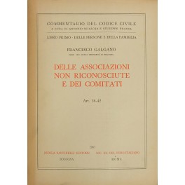 Delle associazioni non riconosciute e dei comitati. Art. 36-42