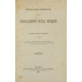 Principio giuridico fondamentale della legislazione sulle miniere