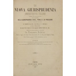 La nuova giurisprudenza amministrativa italiana 