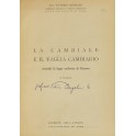 La cambiale e il vaglia cambiario secondo la legge