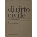 Diritto civile. Vol. V - La responsabilità