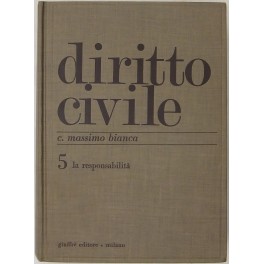 Diritto civile. Vol. V - La responsabilità