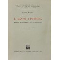 Il danno a persona. Il danno risarcibile e il suo accertamento. Con prefazione di Guido Gentile