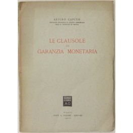 Le clausole di garanzia monetaria