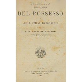 Trattato teorico-pratico del possesso e delle azioni possessorie