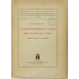 La responsabilità civile per danni da cose