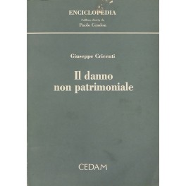 Il danno non patrimoniale