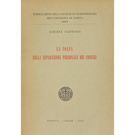 La colpa nella separazione personale dei coniugi