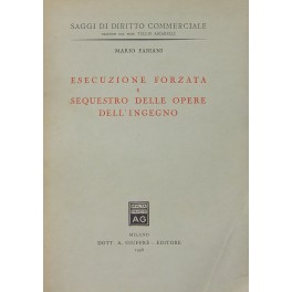 Esecuzione forzata e sequestro delle opere dell'ingegno