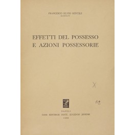 Effetti del possesso e azioni possessorie