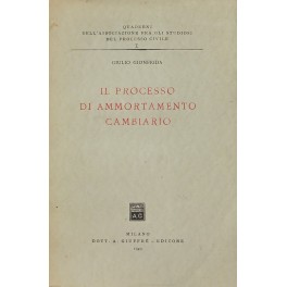 Il processo di ammortamento cambiario