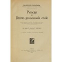 Principi di diritto processuale civile. (Le azioni. Il processo di cognizione)