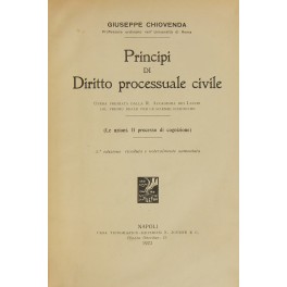 Principi di diritto processuale civile