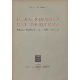 Il patrimonio del debitore nelle procedure concorsuali