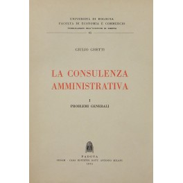 La consulenza amministrativa. 