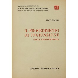 Il procedimento di ingiunzione nella giurisprudenza