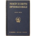 Principi di diritto internazionale