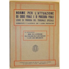 Norme per l'attuazione dei codici penale e di procedura penale 