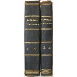 Dominici Cavallarii.. Institutiones Juris Romani