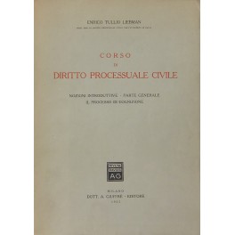 Corso di diritto processuale civile