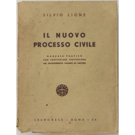 Il nuovo processo civile