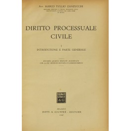 Diritto processuale civile. 