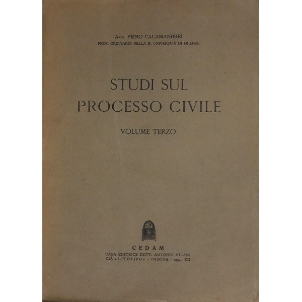 Studi sul processo civile