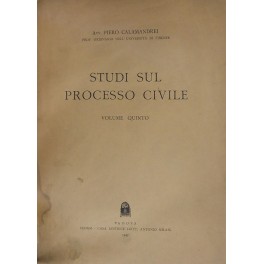 Studi sul processo civile.