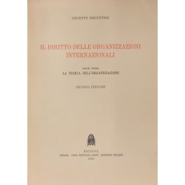 Il diritto delle organizzazioni internazionali