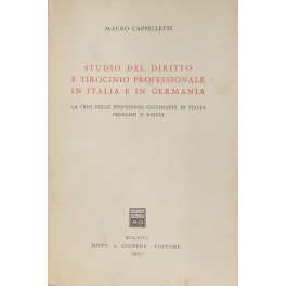 Studio del diritto e tirocinio professionale 