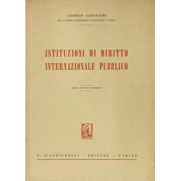 Istituzioni di diritto internazionale pubblico