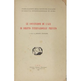 Le convenzioni de l'Aja di diritto internazionale privato